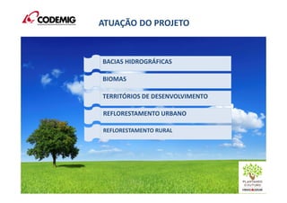ATUAÇÃO DO PROJETO
BACIAS HIDROGRÁFICAS
BIOMAS
TERRITÓRIOS DE DESENVOLVIMENTO
REFLORESTAMENTO URBANO
REFLORESTAMENTO RURAL
 
