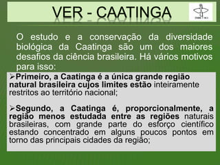 O estudo e a conservação da diversidade
biológica da Caatinga são um dos maiores
desafios da ciência brasileira. Há vários motivos
para isso:
Primeiro, a Caatinga é a única grande região
natural brasileira cujos limites estão inteiramente
restritos ao território nacional;
Segundo, a Caatinga é, proporcionalmente, a
região menos estudada entre as regiões naturais
brasileiras, com grande parte do esforço científico
estando concentrado em alguns poucos pontos em
torno das principais cidades da região;
 