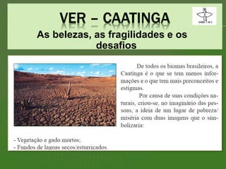 As belezas, as fragilidades e os
desafios
 