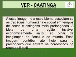 A essa imagem e a esse bioma associam-se
as tragédias humanitária e social em tempos
de secas e estiagens mais prolongadas. A
ideia de uma região inviável
economicamente saltou ao olhar da
imaginação do Brasil e do mundo. Essa
imagem contribui até hoje para o
preconceito que sofrem os nordestinos no
resto do Brasil.
 