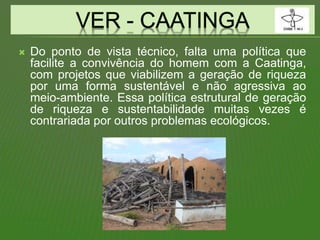  Do ponto de vista técnico, falta uma política que
facilite a convivência do homem com a Caatinga,
com projetos que viabilizem a geração de riqueza
por uma forma sustentável e não agressiva ao
meio-ambiente. Essa política estrutural de geração
de riqueza e sustentabilidade muitas vezes é
contrariada por outros problemas ecológicos.
 