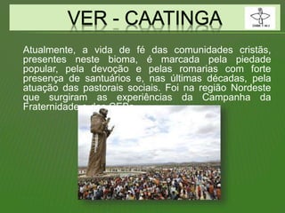 Atualmente, a vida de fé das comunidades cristãs,
presentes neste bioma, é marcada pela piedade
popular, pela devoção e pelas romarias com forte
presença de santuários e, nas últimas décadas, pela
atuação das pastorais sociais. Foi na região Nordeste
que surgiram as experiências da Campanha da
Fraternidade e das CEBs.
 