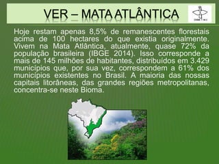 Hoje restam apenas 8,5% de remanescentes florestais
acima de 100 hectares do que existia originalmente.
Vivem na Mata Atlântica, atualmente, quase 72% da
população brasileira (IBGE 2014). Isso corresponde a
mais de 145 milhões de habitantes, distribuídos em 3.429
municípios que, por sua vez, correspondem a 61% dos
municípios existentes no Brasil. A maioria das nossas
capitais litorâneas, das grandes regiões metropolitanas,
concentra-se neste Bioma.
 