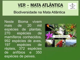 Biodiversidade na Mata Atlântica
Neste Bioma vivem
mais de 20 mil
espécies de plantas,
270 espécies de
mamíferos conhecidos,
992 espécies de aves,
197 espécies de
répteis, 372 espécies
de anfíbios e 350
espécies de peixes.
 