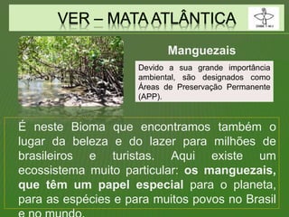 É neste Bioma que encontramos também o
lugar da beleza e do lazer para milhões de
brasileiros e turistas. Aqui existe um
ecossistema muito particular: os manguezais,
que têm um papel especial para o planeta,
para as espécies e para muitos povos no Brasil
Devido a sua grande importância
ambiental, são designados como
Áreas de Preservação Permanente
(APP).
Manguezais
 