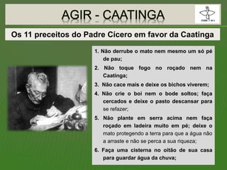 1. Não derrube o mato nem mesmo um só pé
de pau;
2. Não toque fogo no roçado nem na
Caatinga;
3. Não cace mais e deixe os bichos viverem;
4. Não crie o boi nem o bode soltos; faça
cercados e deixe o pasto descansar para
se refazer;
5. Não plante em serra acima nem faça
roçado em ladeira muito em pé; deixe o
mato protegendo a terra para que a água não
a arraste e não se perca a sua riqueza;
6. Faça uma cisterna no oitão de sua casa
para guardar água da chuva;
Os 11 preceitos do Padre Cícero em favor da Caatinga
 