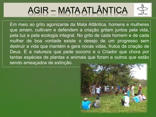 Em meio ao grito agonizante da Mata Atlântica, homens e mulheres
que amam, cultivam e defendem a criação gritam juntos pela vida,
pela luz e pela ecologia integral. No grito de cada homem e de cada
mulher de boa vontade existe o desejo de um progresso sem
destruir a vida que mantém e gera novas vidas, frutos da criação de
Deus. É a natureza que pede socorro e o Criador que chora por
tantas espécies de plantas e animais que foram e outros que estão
sendo ameaçados de extinção.
 