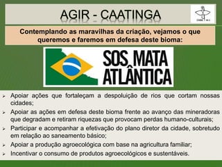  Apoiar ações que fortaleçam a despoluição de rios que cortam nossas
cidades;
 Apoiar as ações em defesa deste bioma frente ao avanço das mineradoras
que degradam e retiram riquezas que provocam perdas humano-culturais;
 Participar e acompanhar a efetivação do plano diretor da cidade, sobretudo
em relação ao saneamento básico;
 Apoiar a produção agroecológica com base na agricultura familiar;
 Incentivar o consumo de produtos agroecológicos e sustentáveis.
Contemplando as maravilhas da criação, vejamos o que
queremos e faremos em defesa deste bioma:
 