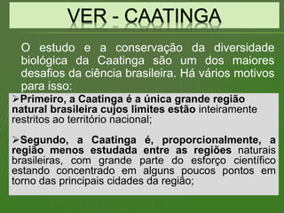 O estudo e a conservação da diversidade
biológica da Caatinga são um dos maiores
desafios da ciência brasileira. Há vários motivos
para isso:
Primeiro, a Caatinga é a única grande região
natural brasileira cujos limites estão inteiramente
restritos ao território nacional;
Segundo, a Caatinga é, proporcionalmente, a
região menos estudada entre as regiões naturais
brasileiras, com grande parte do esforço científico
estando concentrado em alguns poucos pontos em
torno das principais cidades da região;
 