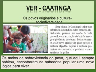 Os meios de sobrevivência do povo, que aqui sempre
habitou, encontraram na sabedoria popular uma nova
lógica para viver.
Os povos originários e cultura-
sociodiversidade
 