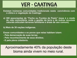 Existem inúmeras comunidades tradicionais nesta convivência com
o clima e a vegetação da Caatinga:
a) 300 associações de “Fecho ou Fundos de Pasto” (esse é o modo
de vida comunitária, onde a gestão da terra e de outros recursos
naturais articulam terrenos familiares e áreas de uso comum).
b) Mais de 30 nações indígenas.
Essas comunidades e os povos que nelas habitam lutam:
- Pela demarcação de suas terras;
- Pelo reconhecimento de seus direitos;
- E pela plena cidadania.
Aproximadamente 40% da população deste
bioma ainda vivem no meio rural.
 