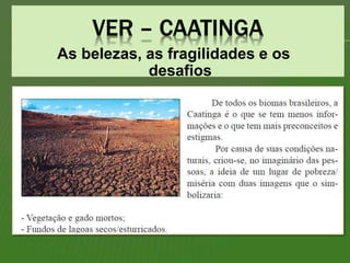 As belezas, as fragilidades e os
desafios
 