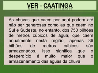 As chuvas que caem por aqui podem até
não ser generosas como as que caem no
Sul e Sudeste, no entanto, dos 750 bilhões
de metros cúbicos de água, que caem
anualmente nesta região, apenas 36
bilhões de metros cúbicos são
armazenados. Isso significa que o
desperdício é muito maior que o
armazenamento das águas da chuva.
 