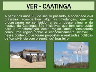 A partir dos anos 90, do século passado, a sociedade civil
brasileira acompanhou algumas mudanças, que se
processaram no semiárido, a partir desse clima e da
riqueza da Caatinga. São iniciativas que têm contribuído
para a transformação desta região, antes considerada
como uma região pobre e economicamente inviável. É
nesse contexto que foram propostas e realizadas políticas
de “convivência com o semiárido” brasileiro.
 