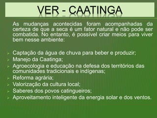 As mudanças acontecidas foram acompanhadas da
certeza de que a seca é um fator natural e não pode ser
combatida. No entanto, é possível criar meios para viver
bem nesse ambiente:
 Captação da água de chuva para beber e produzir;
 Manejo da Caatinga;
 Agroecologia e educação na defesa dos territórios das
comunidades tradicionais e indígenas;
 Reforma agrária;
 Valorização da cultura local;
 Saberes dos povos catingueiros;
 Aproveitamento inteligente da energia solar e dos ventos.
 
