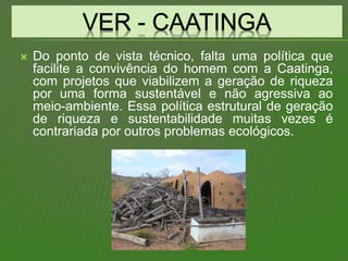  Do ponto de vista técnico, falta uma política que
facilite a convivência do homem com a Caatinga,
com projetos que viabilizem a geração de riqueza
por uma forma sustentável e não agressiva ao
meio-ambiente. Essa política estrutural de geração
de riqueza e sustentabilidade muitas vezes é
contrariada por outros problemas ecológicos.
 