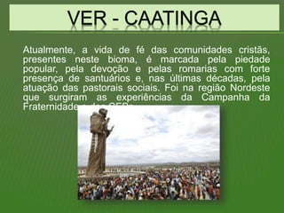 Atualmente, a vida de fé das comunidades cristãs,
presentes neste bioma, é marcada pela piedade
popular, pela devoção e pelas romarias com forte
presença de santuários e, nas últimas décadas, pela
atuação das pastorais sociais. Foi na região Nordeste
que surgiram as experiências da Campanha da
Fraternidade e das CEBs.
 