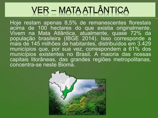 Hoje restam apenas 8,5% de remanescentes florestais
acima de 100 hectares do que existia originalmente.
Vivem na Mata Atlântica, atualmente, quase 72% da
população brasileira (IBGE 2014). Isso corresponde a
mais de 145 milhões de habitantes, distribuídos em 3.429
municípios que, por sua vez, correspondem a 61% dos
municípios existentes no Brasil. A maioria das nossas
capitais litorâneas, das grandes regiões metropolitanas,
concentra-se neste Bioma.
 
