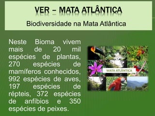 Biodiversidade na Mata Atlântica
Neste Bioma vivem
mais de 20 mil
espécies de plantas,
270 espécies de
mamíferos conhecidos,
992 espécies de aves,
197 espécies de
répteis, 372 espécies
de anfíbios e 350
espécies de peixes.
 