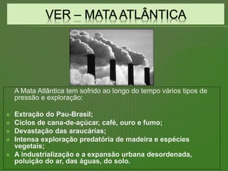 A Mata Atlântica tem sofrido ao longo do tempo vários tipos de
pressão e exploração:
 Extração do Pau-Brasil;
 Ciclos de cana-de-açúcar, café, ouro e fumo;
 Devastação das araucárias;
 Intensa exploração predatória de madeira e espécies
vegetais;
 A industrialização e a expansão urbana desordenada,
poluição do ar, das águas, do solo.
 