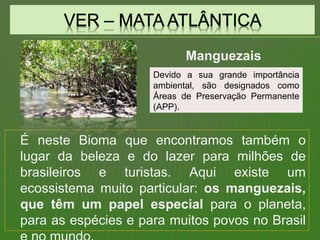 É neste Bioma que encontramos também o
lugar da beleza e do lazer para milhões de
brasileiros e turistas. Aqui existe um
ecossistema muito particular: os manguezais,
que têm um papel especial para o planeta,
para as espécies e para muitos povos no Brasil
Devido a sua grande importância
ambiental, são designados como
Áreas de Preservação Permanente
(APP).
Manguezais
 