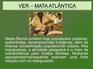 Neste Bioma existem hoje populações praieiras,
quilombolas, remanescentes indígenas, além da
imensa concentração populacional urbana. Nos
manguezais, a atividade pesqueira é o meio de
sobrevivência para muitas famílias. Mulheres
pescadoras/marisqueiras exercem uma forte
relação com os manguezais.
 