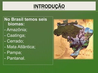 No Brasil temos seis
biomas:
- Amazônia;
- Caatinga;
- Cerrado;
- Mata Atlântica;
- Pampa;
- Pantanal.
 