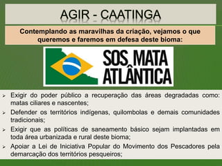  Exigir do poder público a recuperação das áreas degradadas como:
matas ciliares e nascentes;
 Defender os territórios indígenas, quilombolas e demais comunidades
tradicionais;
 Exigir que as políticas de saneamento básico sejam implantadas em
toda área urbanizada e rural deste bioma;
 Apoiar a Lei de Iniciativa Popular do Movimento dos Pescadores pela
demarcação dos territórios pesqueiros;
Contemplando as maravilhas da criação, vejamos o que
queremos e faremos em defesa deste bioma:
 