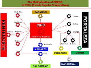 The Mulitiplication of PRECE:
In EPCs (Escola Popular Cooperativas)
PENTECOSTE
FORTALEZA
CIPÓ
Incubadora de células
GAL SAMPAIO
PARAMOTI
PARACURU UMIRIM
MARACANAÚ
Estrela Dalva
Providencia
Boa Vista
Ombreira
Sede
Erva Moura
APUIARÉS
Canafistula
Sede
Pirambu
Benfica
EPC FOR
C. CearáPalmeiras
 