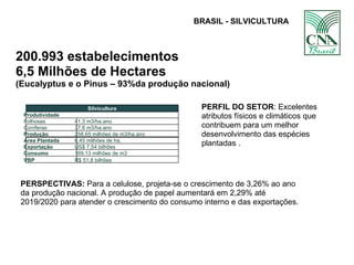 BRASIL - SILVICULTURA 200.993 estabelecimentos 6,5 Milhões de Hectares  (Eucalyptus e o Pinus – 93%da produção nacional)  PERFIL DO SETOR : Excelentes atributos físicos e climáticos que contribuem para um melhor desenvolvimento das espécies plantadas . PERSPECTIVAS:  Para a celulose, projeta-se o crescimento de 3,26% ao ano da produção nacional. A produção de papel aumentará em 2,29% até 2019/2020 para atender o crescimento do consumo interno e das exportações. Silvicultura Produtividade Folhosas 41,3 m3/ha.ano Coníferas 37,6 m3/ha.ano Produção 258,65 milhões de m3/ha.ano Área Plantada 6,45 milhões de ha. Exportação US$ 7,54 bilhões Consumo 169,13 milhões de m3 VBP R$ 51,8 bilhões 