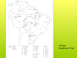 2.Grupo
Lingüístico Tupi
 