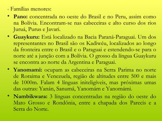 - Famílias menores:
• Pano: concentrada no oeste do Brasil e no Peru, assim como
  na Bolívia. Encontram-se nas cabeceiras e alto curso dos rios
  Juruá, Purus e Javari.
• Guaykuru: Está localizado na Bacia Paraná-Paraguai. Um dos
  representantes no Brasil são os Kadiwéu, localizados ao longo
  da fronteira entre o Brasil e o Paraguai e estendendo-se para o
  norte até a junção com a Bolívia. O grosso da língua Guaykuru
  se encontra ao norte da Argentina e Paraguai.
• Yanomami: ocupam as cabeceiras na Serra Parima no norte
  de Roraima e Venezuela, região de altitudes entre 500 e mais
  de 1000m. Falam 4 línguas initeligíveis, mas próximas umas
  das outras: Yanán, Sanumá, Yanomám e Yanomámi.
• Nambikwara: 3 línguas concentradas na região do oeste do
  Mato Grosso e Rondônia, entre a chapada dos Parecis e a
  Serra do Norte.
 
