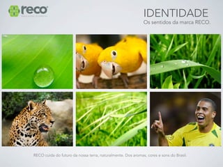 IDENTIDADE
                                                             Os sentidos da marca RECO.




RECO cuida do futuro da nossa terra, naturalmente. Dos aromas, cores e sons do Brasil.
 