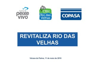 REVITALIZA RIO DASREVITALIZA RIO DAS
VELHAS
Várzea da Palma, 11 de maio de 2018
 
