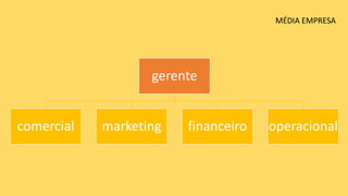 gerente
comercial marketing financeiro operacional
MÉDIA EMPRESA
 
