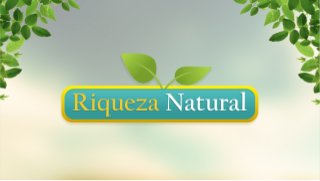 Apresentacao Riqueza natural - 2014