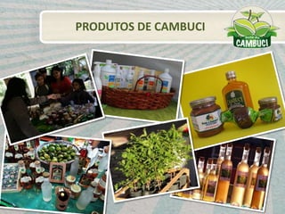 PRODUTOS DE CAMBUCI
 
