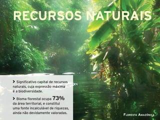 RECURSOS NATURAIS



> Significativo capital de recursos
naturais, cuja expressão máxima
é a biodiversidade.

> Bioma florestal ocupa 73%
da área territorial, e constitui
uma fonte incalculável de riquezas,
ainda não devidamente valoradas.
                                      Floresta Amazônica
 