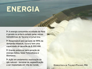 ENERGIA

> A energia consumida no estado do Pará
é gerada no próprio estado pelas usinas
hidrelétricas de Tucuruí e Curuá Una.
> Responsável pela geração de 99% da
demanda estadual, Tucuruí tem uma
capacidade de geração de 8.300 MW.
> Grande potencial para geração de
energia Eólica, Solar-Fotovoltaica e
Biomassa.
> Ação em andamento: exploração do
gás natural – terminal de regaseificação
a ser implantado em Vila do Conde.         Hidrelétrica de Tucuruí (Tucuruí, PA)
 