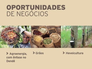 OPORTUNIDADES
DE NEGÓCIOS




> Agroenergia,   > Grãos   > Heveicultura
com ênfase no
Dendê
 