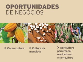 OPORTUNIDADES
 DE NEGÓCIOS




> Cacauicultura   > Cultura da   > Agricultura
                  mandioca       periurbana:
                                 olericultura
                                 e floricultura
 