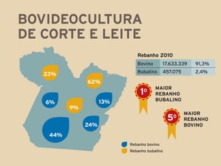 Bovideocultura
de corte e leite
                              Rebanho 2010
                              Bovino        17.633.339   91,3%
                              Bubalino      457.075      2,4%
   23%
               62%
                                       maior
                               1 0
                                       rebanho
                     13%               bubalino
   6%
          9%
                                                      maior
                                              5 0
                                                      rebanho
               24%                                    BOVINO

    44%
                           Rebanho bovino
                           Rebanho bubalino
 