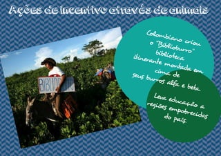Ações de incentivo através de animais
Colombiano criouo "Biblioburro”bibliotecaitinerante montada emcima deseus burros alfa e beta.
Leva educação aregiões empobrecidasdo país.
 