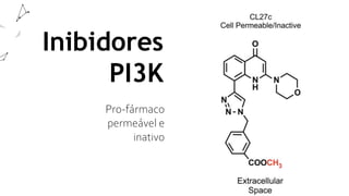 Inibidores
PI3K
Pro-fármaco
permeável e
inativo
 