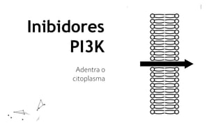 Inibidores
PI3K
Adentra o
citoplasma
 