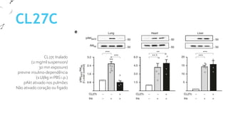 CL27C
CL27c Inalado
(2 mg/ml suspension/
30 min exposure)
previne insulino-dependência
(1 UI/kg in PBS i.p.)
pAkt ativado nos pulmões
Não ativado coração ou figado
 