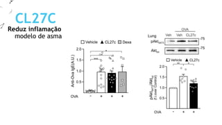 Reduz inflamação
CL27C
modelo de asma
 
