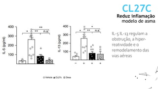 Reduz inflamação
CL27C
modelo de asma
IL-5 IL-13 regulam a
obstrução, a hiper-
reatividade e o
remodelamento das
vias aéreas
 