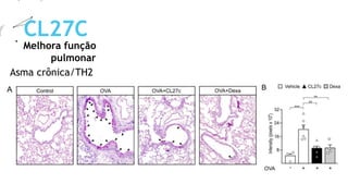 Melhora função
pulmonar
CL27C
Asma crônica/TH2
 
