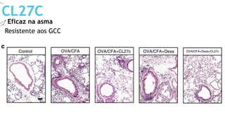 Eficaz na asma
CL27C
Resistente aos GCC
 